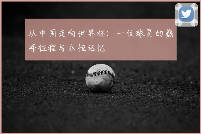 从中国走向世界杯:一位球员的巅峰征程与永恒记忆